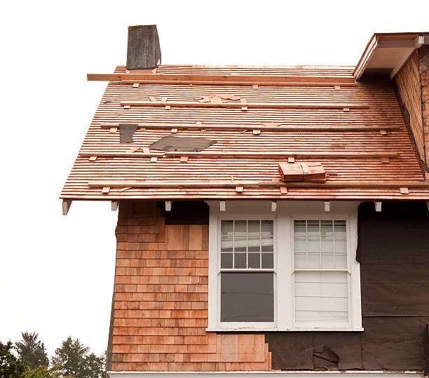 Siding for New Construction